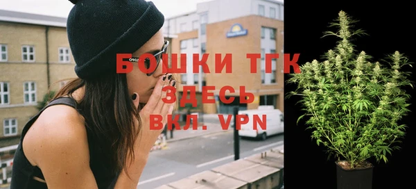 мет Бородино