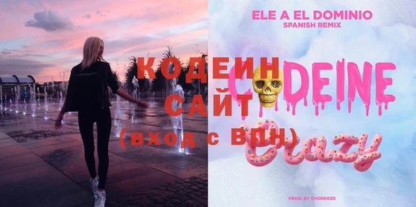 мет Бородино